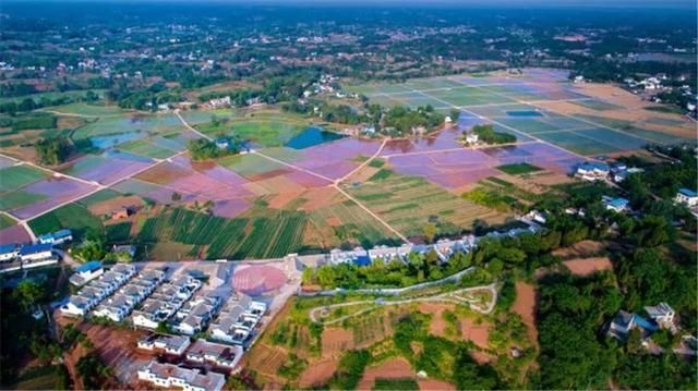 禾加一笔是什么字，禾字加一笔是什么字（乡村变美、群众变富...看）