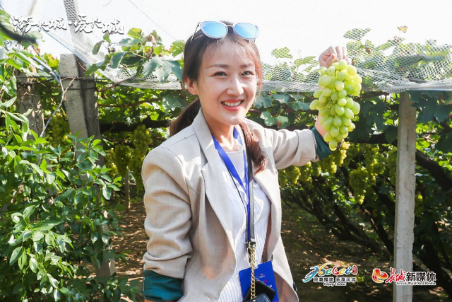 怀来县景点推荐，怀来县附近的景点（一段醇美芳香的梦幻之旅）