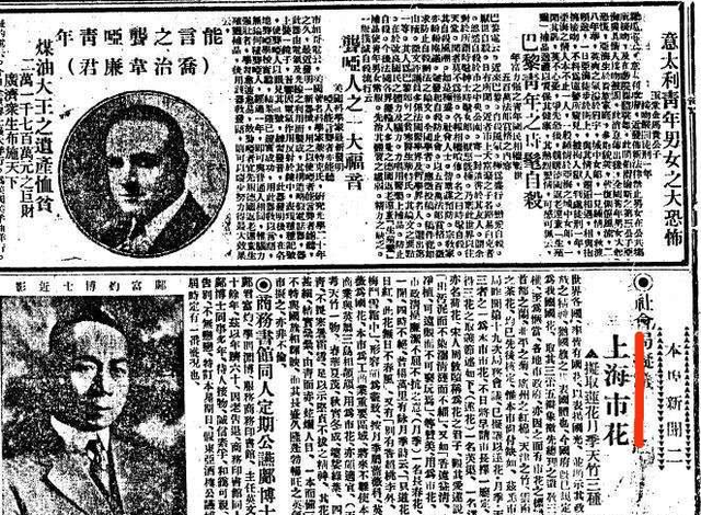 上海以前的市花是什么，上海市花为啥曾是棉花