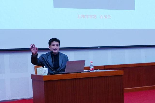 上海以前的市花是什么，上海市花为啥曾是棉花