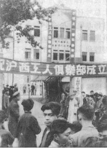 上海以前的市花是什么，上海市花为啥曾是棉花