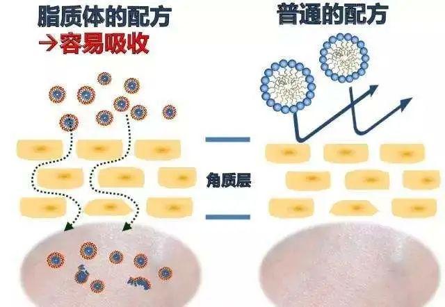 ahc是什么品牌，ahc是什么牌子（不到300，搞定秋敏肌肤作妖）