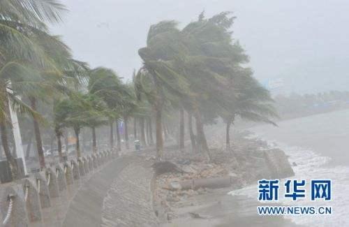 台风黑格比命名由来，黑格比台风是什么时候来的（还有台风曾被“除名”）