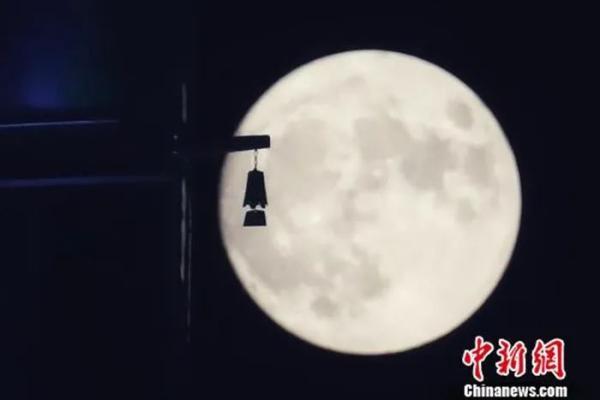 十五夜望月的意思，十五夜望月古诗意思（但愿人长久）