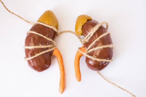 尿路感染看什么科，检查尿道感染挂什么科（哪些行为最“坑”肾）