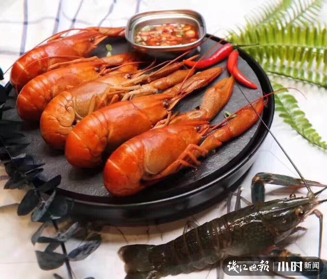 澳洲淡水龙虾养殖，上林澳洲淡水龙虾养殖（本塘澳洲淡水龙虾旺季来袭）