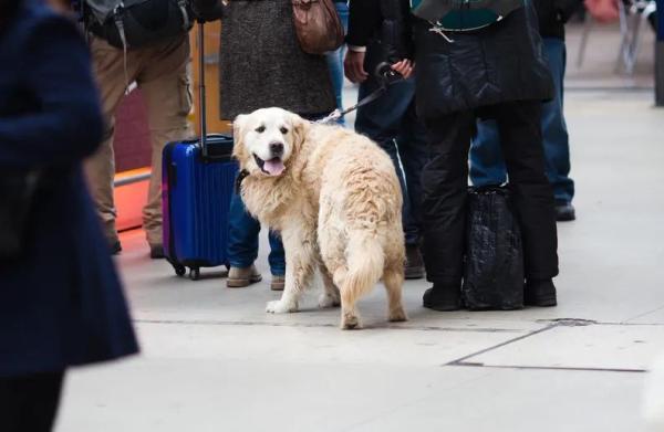 高铁能带500ml爽肤水吗，高铁能带多少毫升的化妆品水乳（大闸蟹、白酒能带上高铁吗）