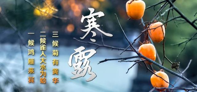 寒露的由来简介，关于寒露的简介（寒露丨袅袅凉风动，凄凄寒露零）