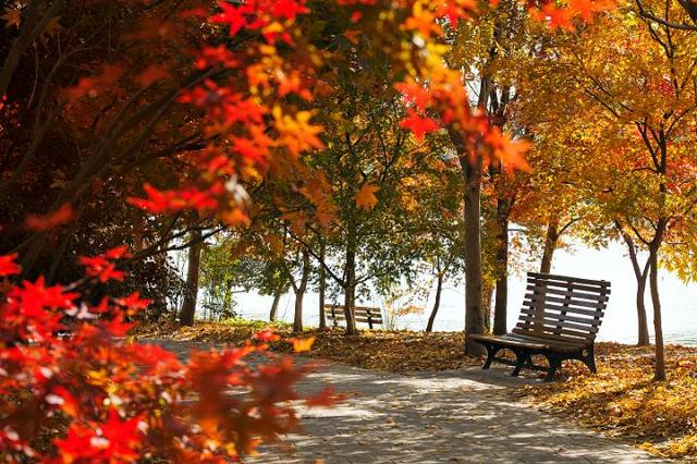 寒露的由来简介，关于寒露的简介（寒露丨袅袅凉风动，凄凄寒露零）