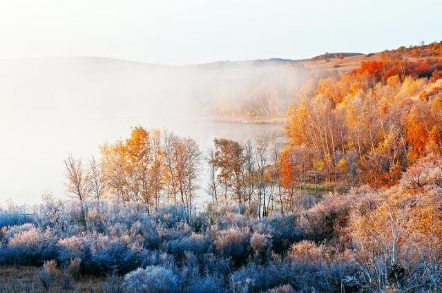 寒露的由来简介，关于寒露的简介（寒露丨袅袅凉风动，凄凄寒露零）