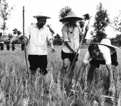 创业史故事梗概，创业史每章概括（柳青最后修改的《创业史》样书）