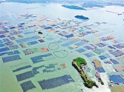 霞浦县属于哪个市(霞浦必去的景点)