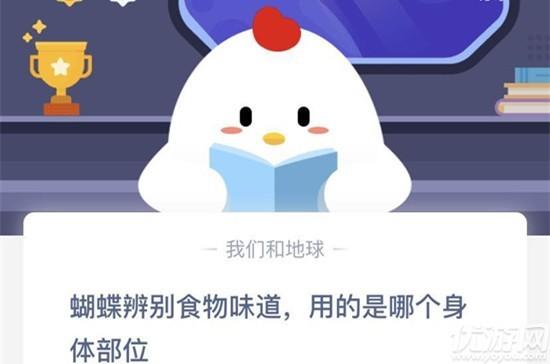 蝴蝶辨别食物味道用身体哪个部位，蝴蝶用什么辨别食物味道（2020年10月12日蚂蚁庄园答案分享）