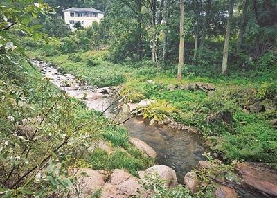 清泉石上流的上一句，清泉石上流的上一句是什么（山间明月照 清泉石上流）