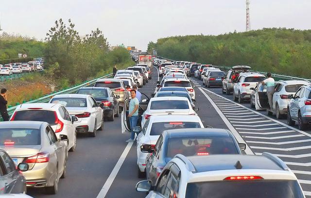 碰瓷是什么意思，网络碰瓷是什么意思（两高一部最新指导意见为你撑腰）