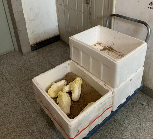 屋里有蛐蛐叫怎么消除，家里进蛐蛐了怎么驱赶（居民楼里养了上千只蛐蛐儿）