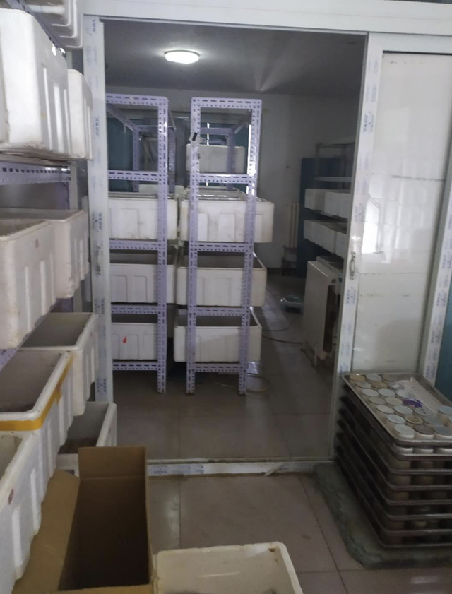 屋里有蛐蛐叫怎么消除，家里进蛐蛐了怎么驱赶（居民楼里养了上千只蛐蛐儿）