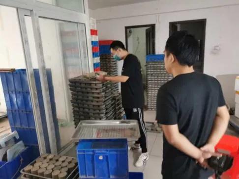 屋里有蛐蛐叫怎么消除，家里进蛐蛐了怎么驱赶（居民楼里养了上千只蛐蛐儿）