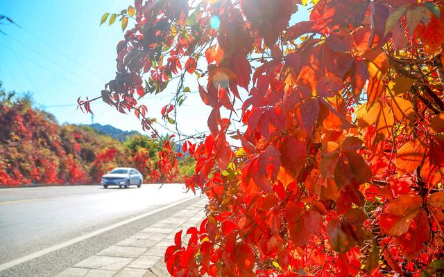 北京有哪些名胜古迹，北京的名胜古迹（北京推荐19处特色彩叶景区）