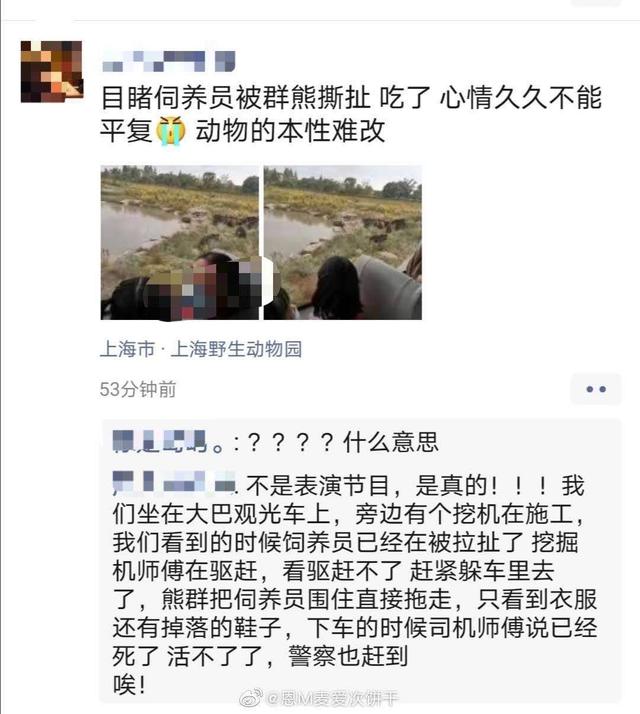 上海野生熊咬人事件，上海野生动物园发生“熊咬人”事件