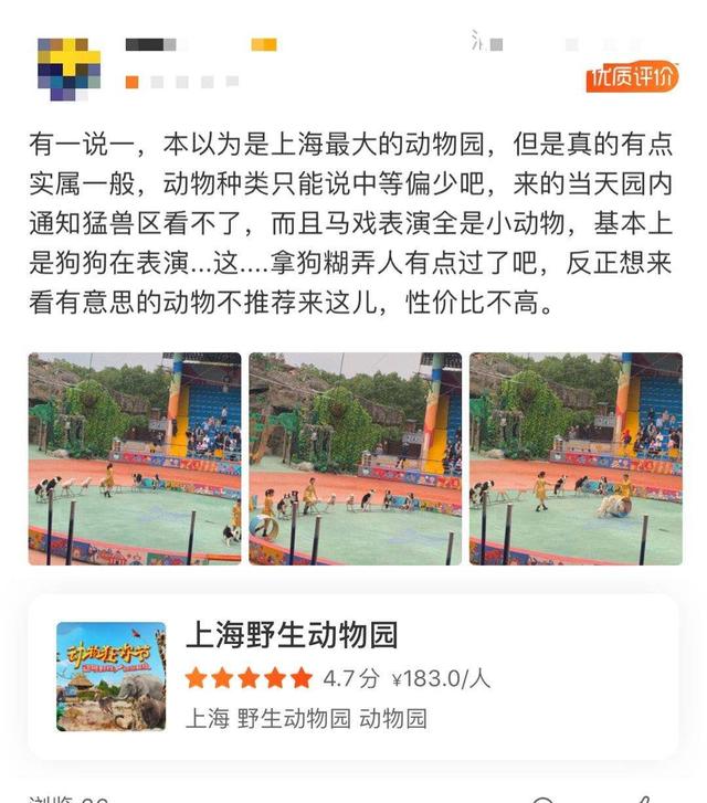 上海野生熊咬人事件，上海野生动物园发生“熊咬人”事件