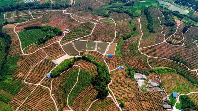 禾加一笔是什么字，禾字加一笔是什么字（乡村变美、群众变富...看）