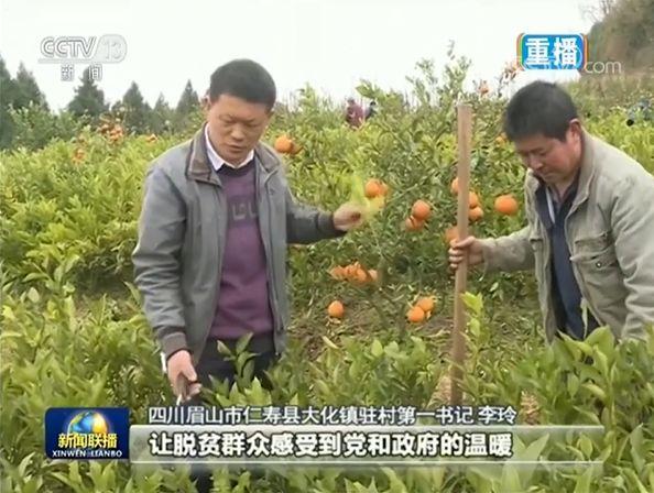 禾加一笔是什么字，禾字加一笔是什么字（乡村变美、群众变富...看）