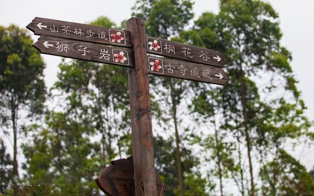 禾加一笔是什么字，禾字加一笔是什么字（乡村变美、群众变富...看）