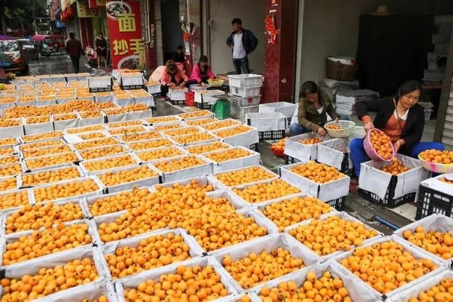 禾加一笔是什么字，禾字加一笔是什么字（乡村变美、群众变富...看）