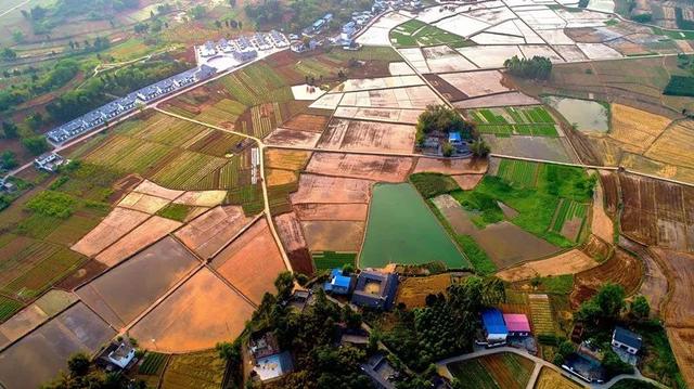 禾加一笔是什么字，禾字加一笔是什么字（乡村变美、群众变富...看）