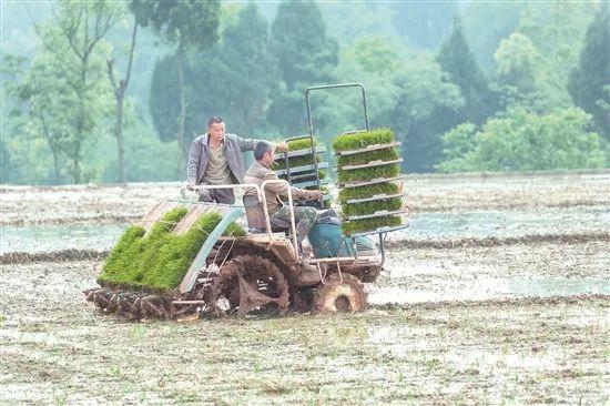 禾加一笔是什么字，禾字加一笔是什么字（乡村变美、群众变富...看）