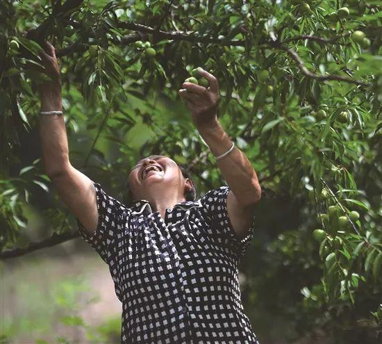禾加一笔是什么字，禾字加一笔是什么字（乡村变美、群众变富...看）