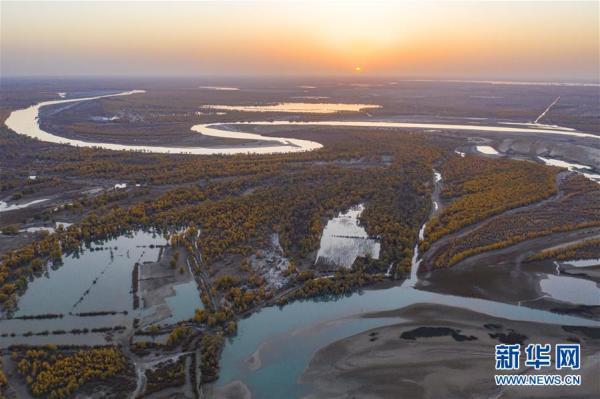 胡杨林在哪，中国最美的胡杨林在哪里（我国最大胡杨林区正值观赏季）