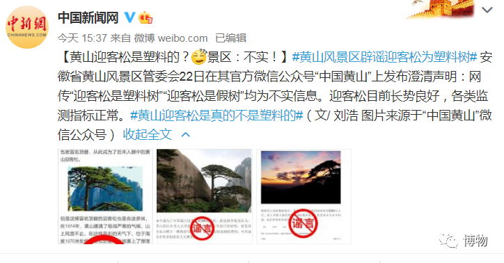 rf树 一棵树到底能活多久？有的已经活了8万岁