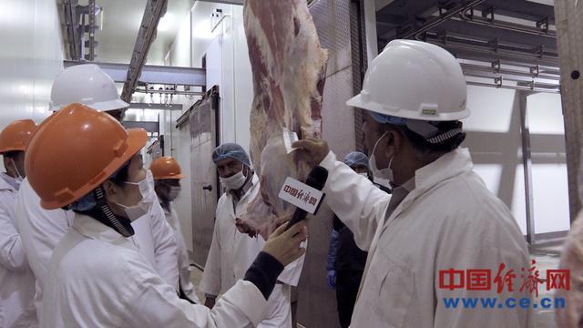 两个差字两颗人参打什么成语，参的两字词语（中国1公斤60万买不到）