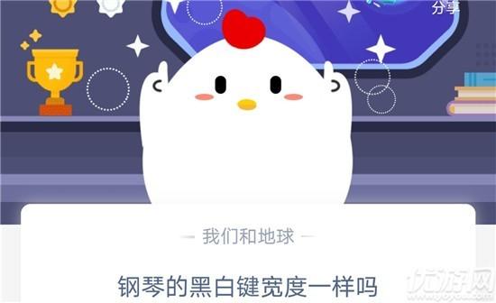 钢琴黑白键代表什么，钢琴的黑白键宽度一样吗