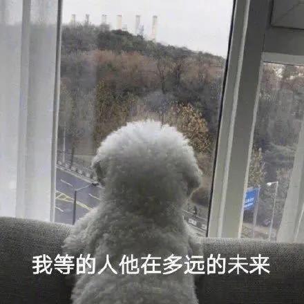 蟹棒的热量，蟹棒的热量多高（凭什么我只能吃鸡胸肉）