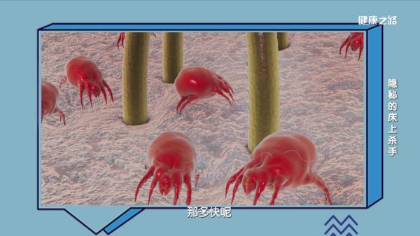 螨虫的危害有多大，螨虫有什么危害吗（500万螨虫陪你睡）