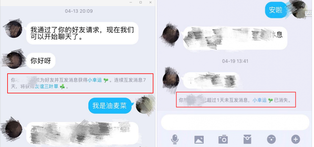 申请qq会员，如何免费申请qq会员（为何能吃下两个熟人社交产品）