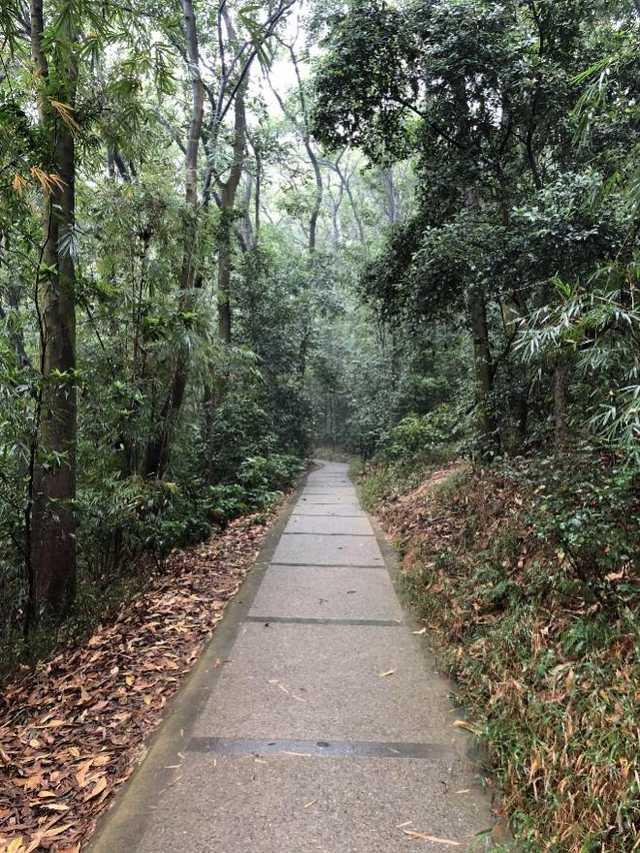 华为手机行动轨迹图在哪查看，华为手机如何看自己的行动轨迹（华为WATCH）