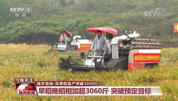 杂交水稻的贡献有多大，杂交水稻的贡献有多大作文（为保障全球粮食安全贡献中国智慧）