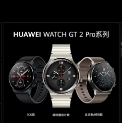华为gt2pro手表功能介绍（华为gt2pro手表功能讲解）