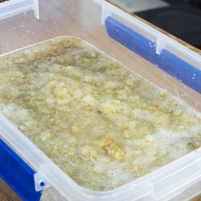 简单的秋梨膏怎么做，秋梨膏比补药营养，却不要钱
