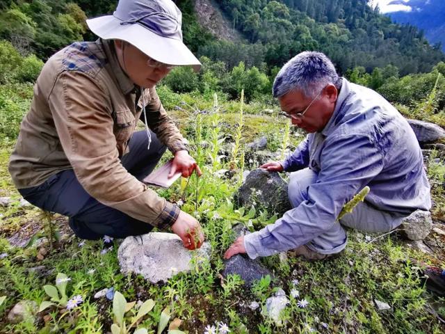 关于地壳变迁，地壳发生变化（曾令森：抽丝剥茧揭秘地壳演化）