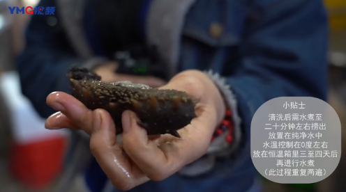 新鲜海参的吃法，干海参的吃法与做法（活海参的正确料理过程）