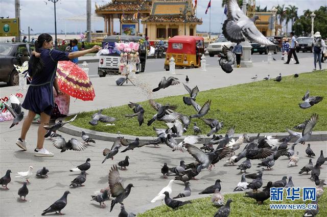 高棉是哪个国家的，高棉是哪个国家的简称（高棉明珠——柬埔寨首都金边）