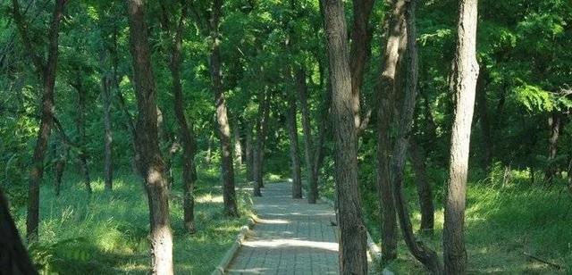 烟台南山学院怎么样，附就业前景和就业率数据报告（烟台南山学院新成果带来新魅力）