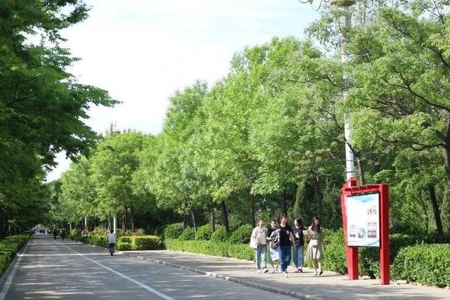 烟台南山学院怎么样，附就业前景和就业率数据报告（烟台南山学院新成果带来新魅力）