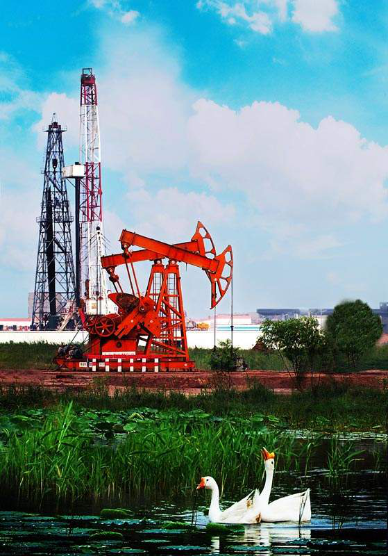 山东东营属于哪个市，东营最早属于哪个城市（什么是东营）