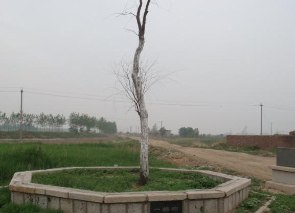 山东东营属于哪个市，东营最早属于哪个城市（什么是东营）